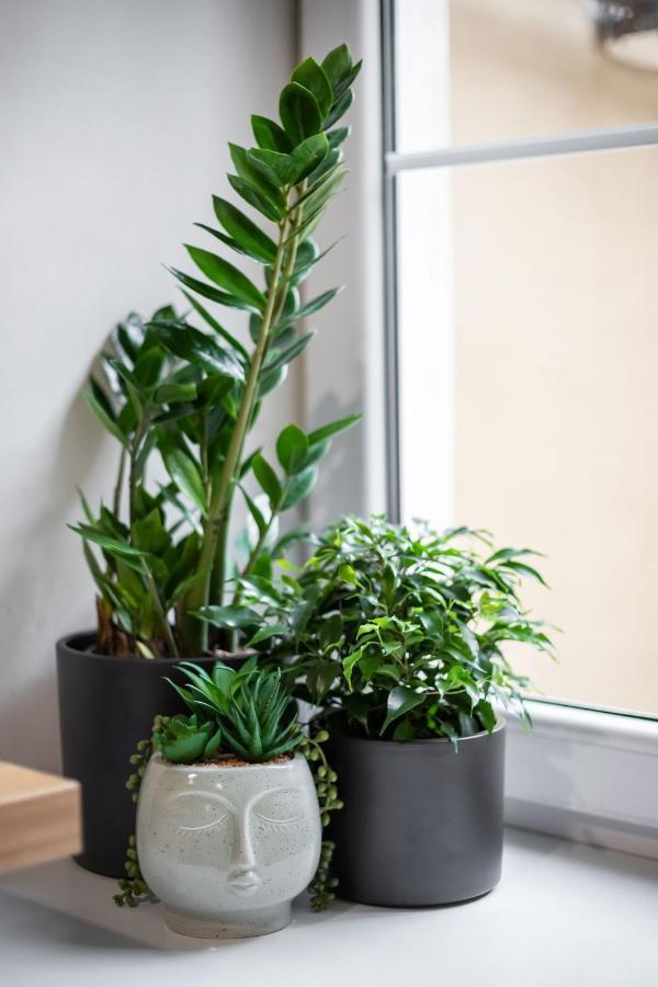 #Stayhere - Cozy 1Bdr Apartment Vilnius Old Town Extérieur photo